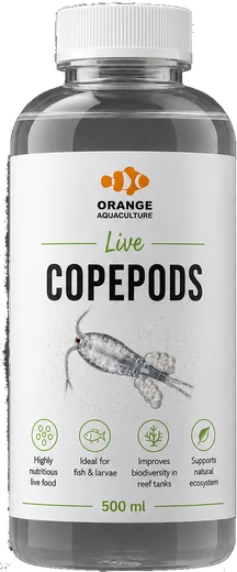 500 ml bottle of Orange Aquaculture live copepods